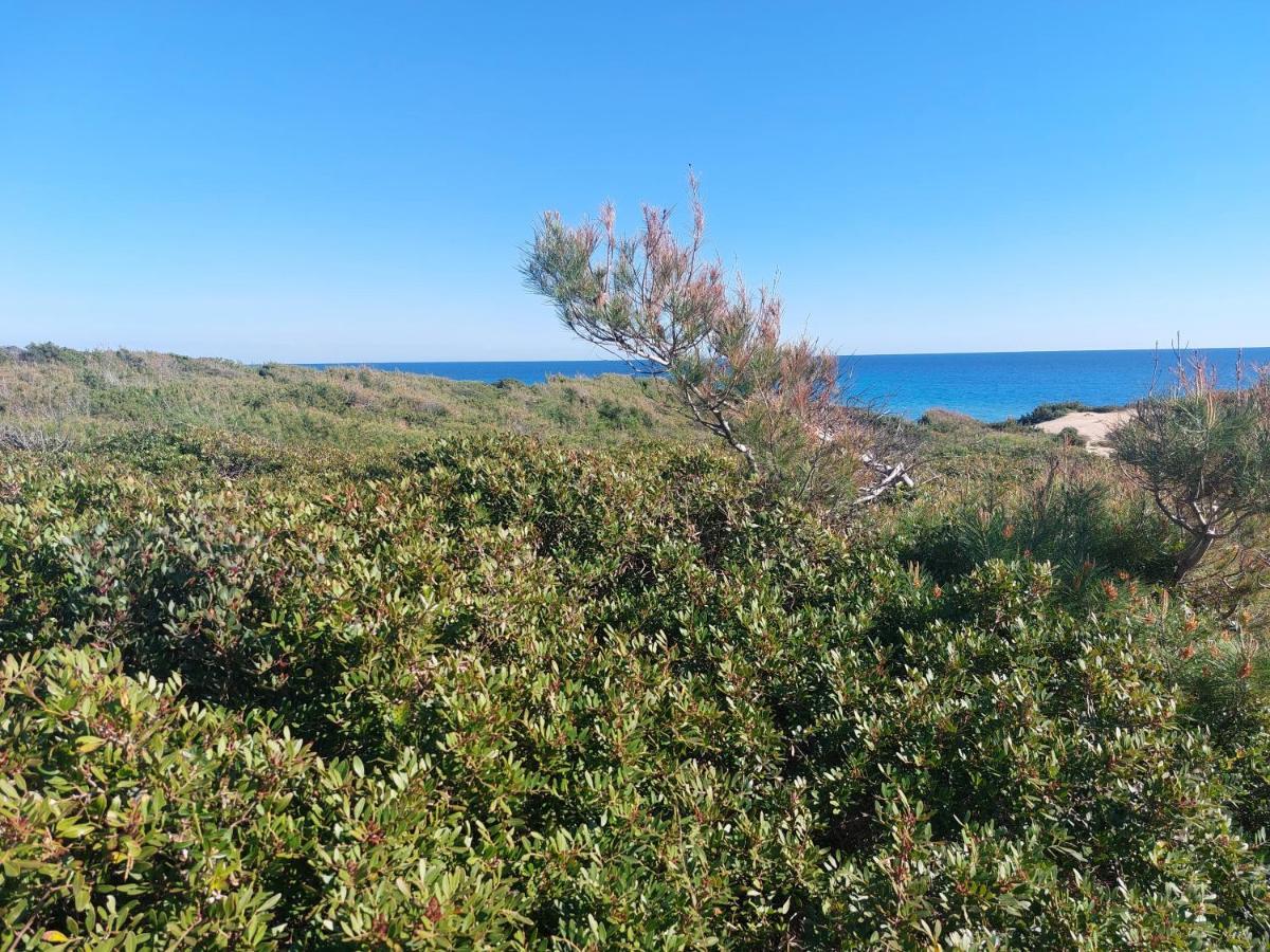 Mimar Casa Vacanze Charme Ed Eleganza Maruggio Kültér fotó